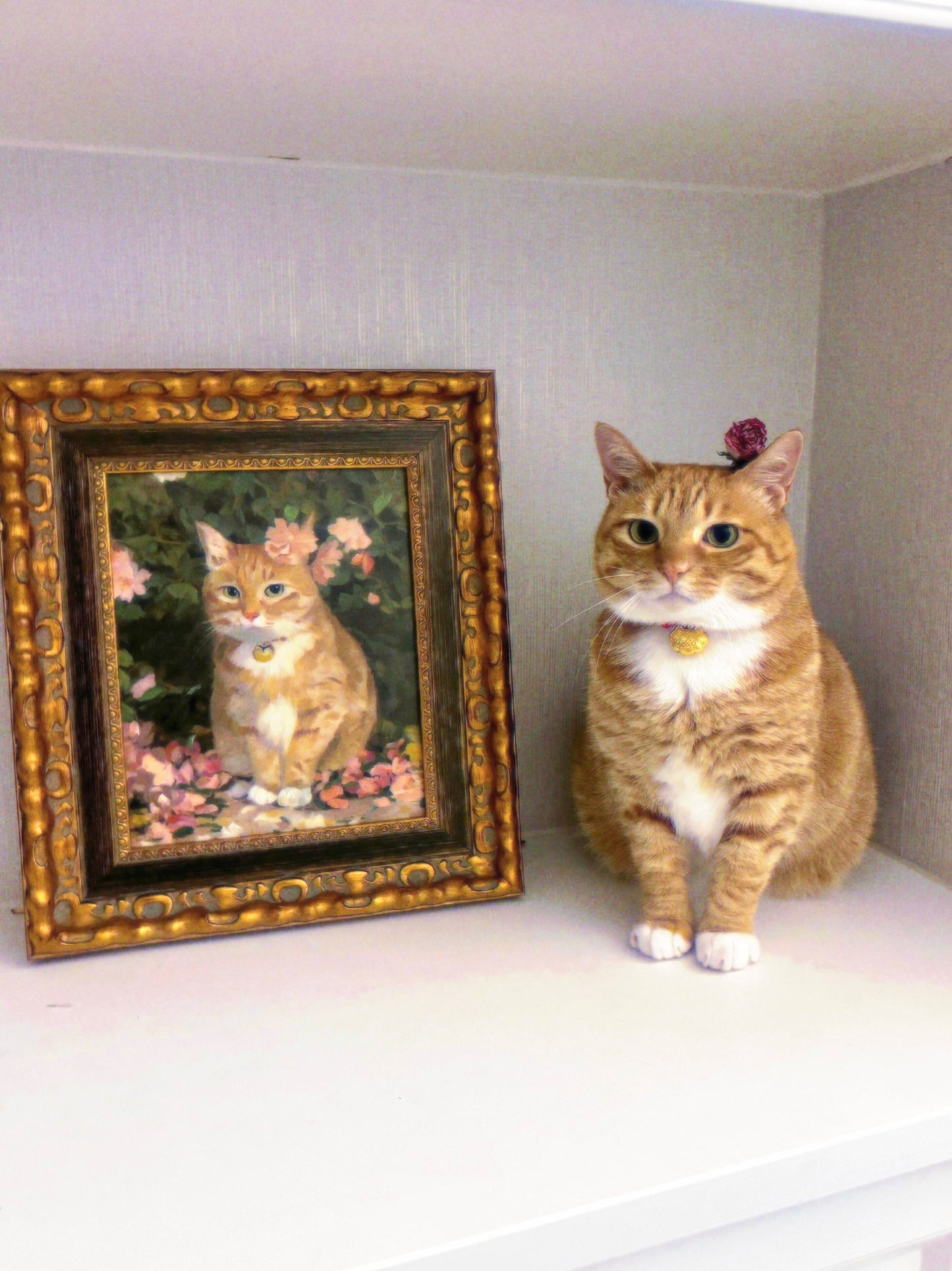 Custom 100% Hand-Painted Pet Portrait (Canvas/Wood)!