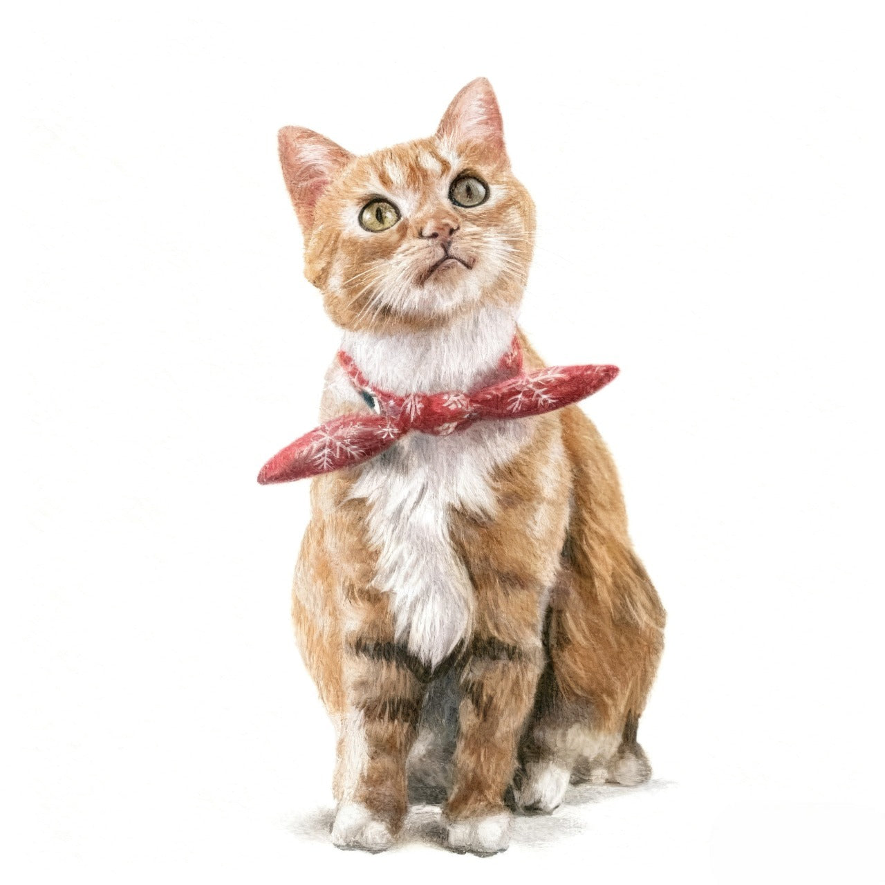 Turn Your Pet Photo into a Custom Portrait — Realistic or Abstract Style in Oil Painting, Watercolor, Colored Pencil & Cartoon