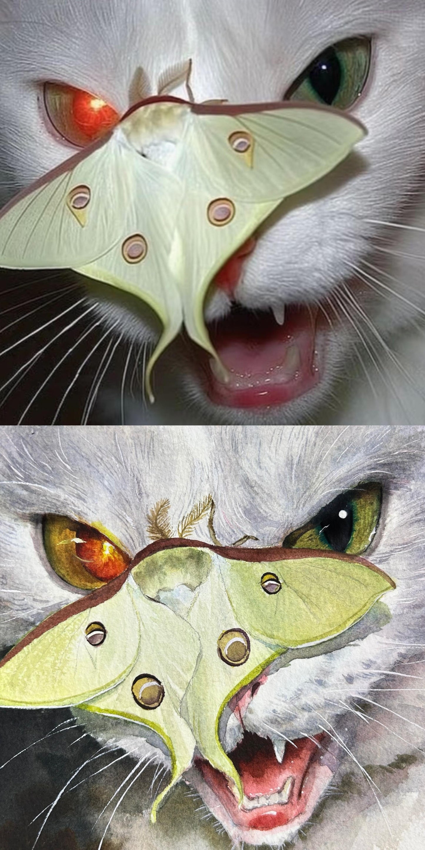 Custom Watercolor Pet Portrait – Handcrafted Artistic Illustration Turn your pet’s photo into a stunning watercolor portrait — soft, expressive, and full of life.