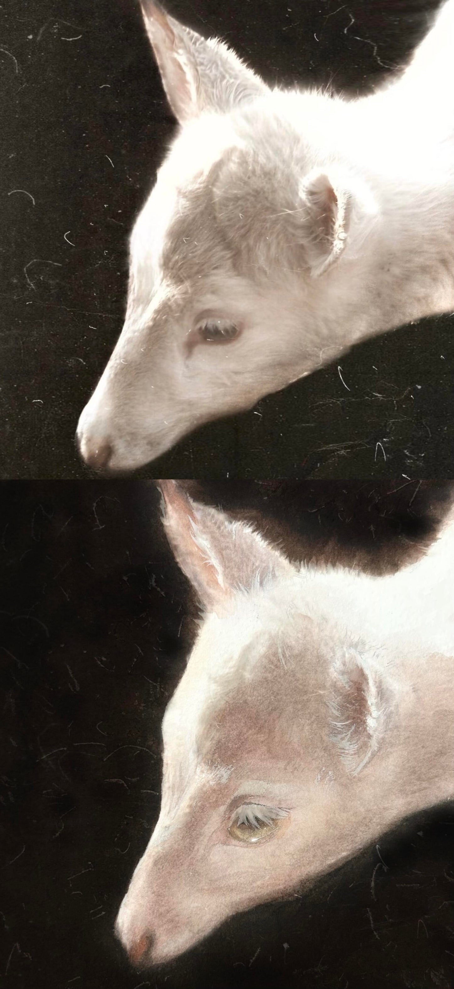 Custom Watercolor Pet Portrait – Handcrafted Artistic Illustration Turn your pet’s photo into a stunning watercolor portrait — soft, expressive, and full of life.