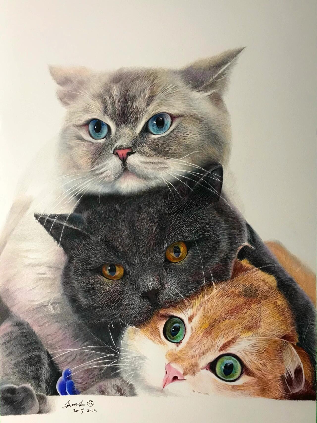 Turn Your Pet Photo into a Custom Portrait — Realistic or Abstract Style in Oil Painting, Watercolor, Colored Pencil & Cartoon