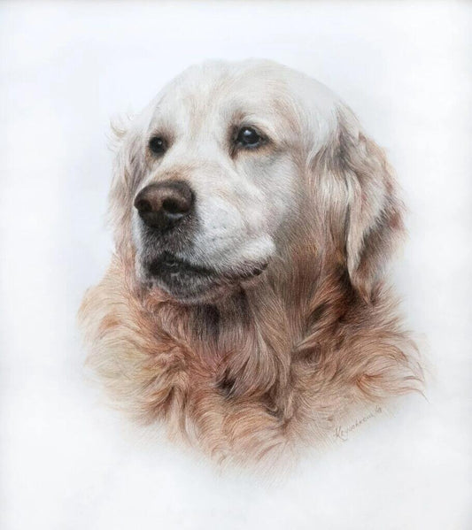 Custom Colored Pencil Pet Portrait