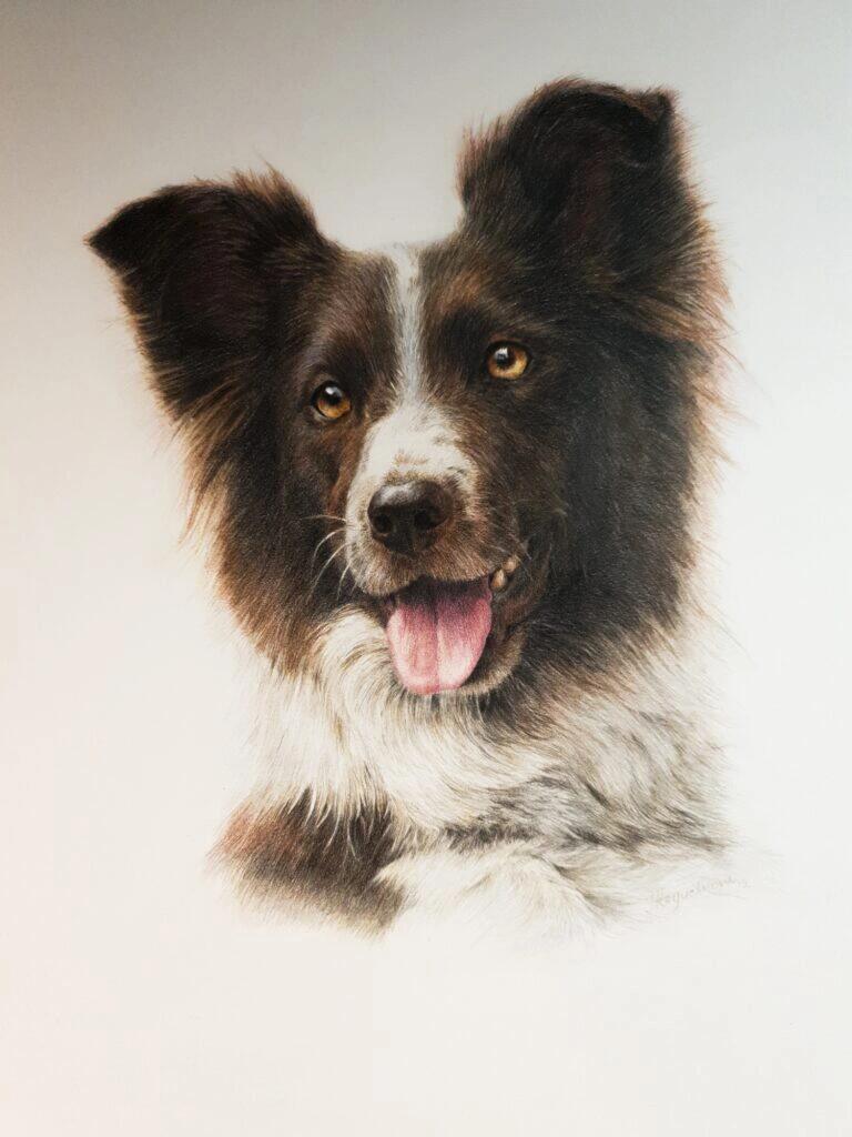 Custom Colored Pencil Pet Portrait