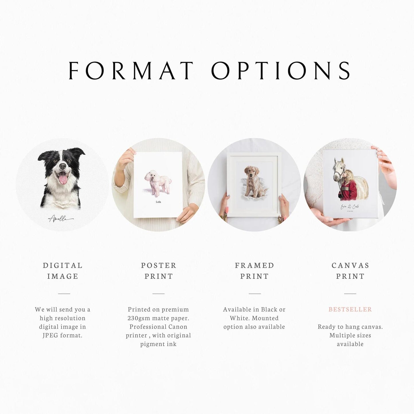 Turn Your Pet Photo into a Custom Portrait — Realistic or Abstract Style in Oil Painting, Watercolor, Colored Pencil & Cartoon